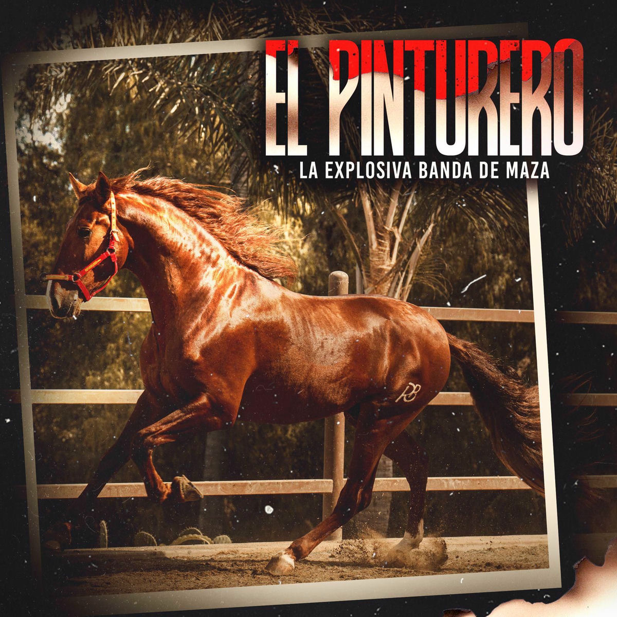 Album cover of El Pinturero