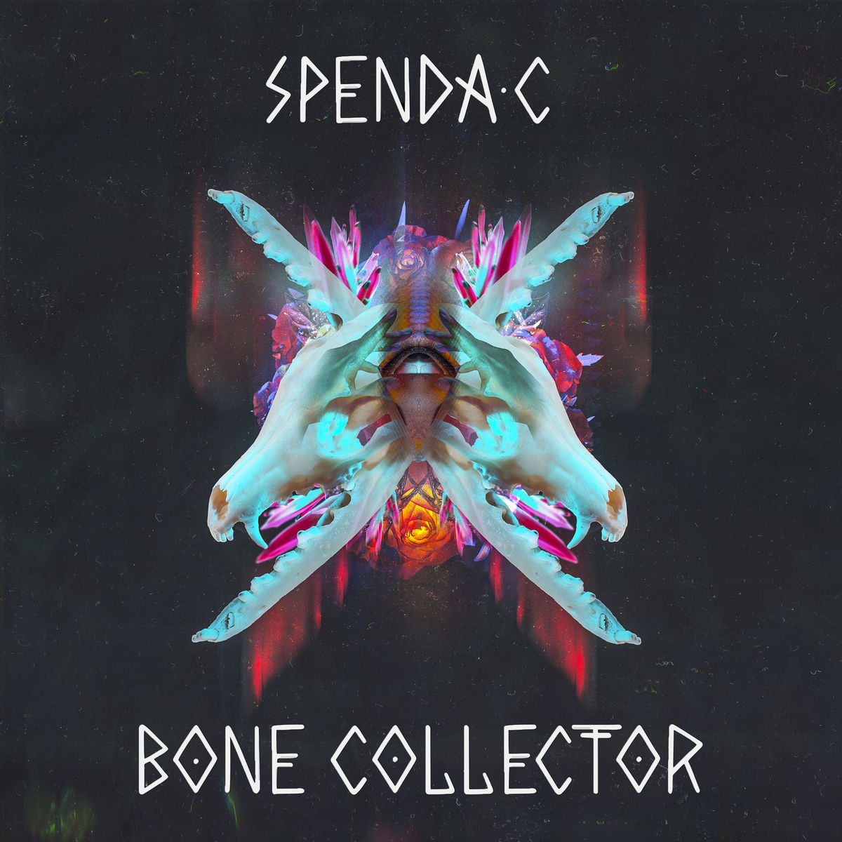 Album cover of Bone Collector
