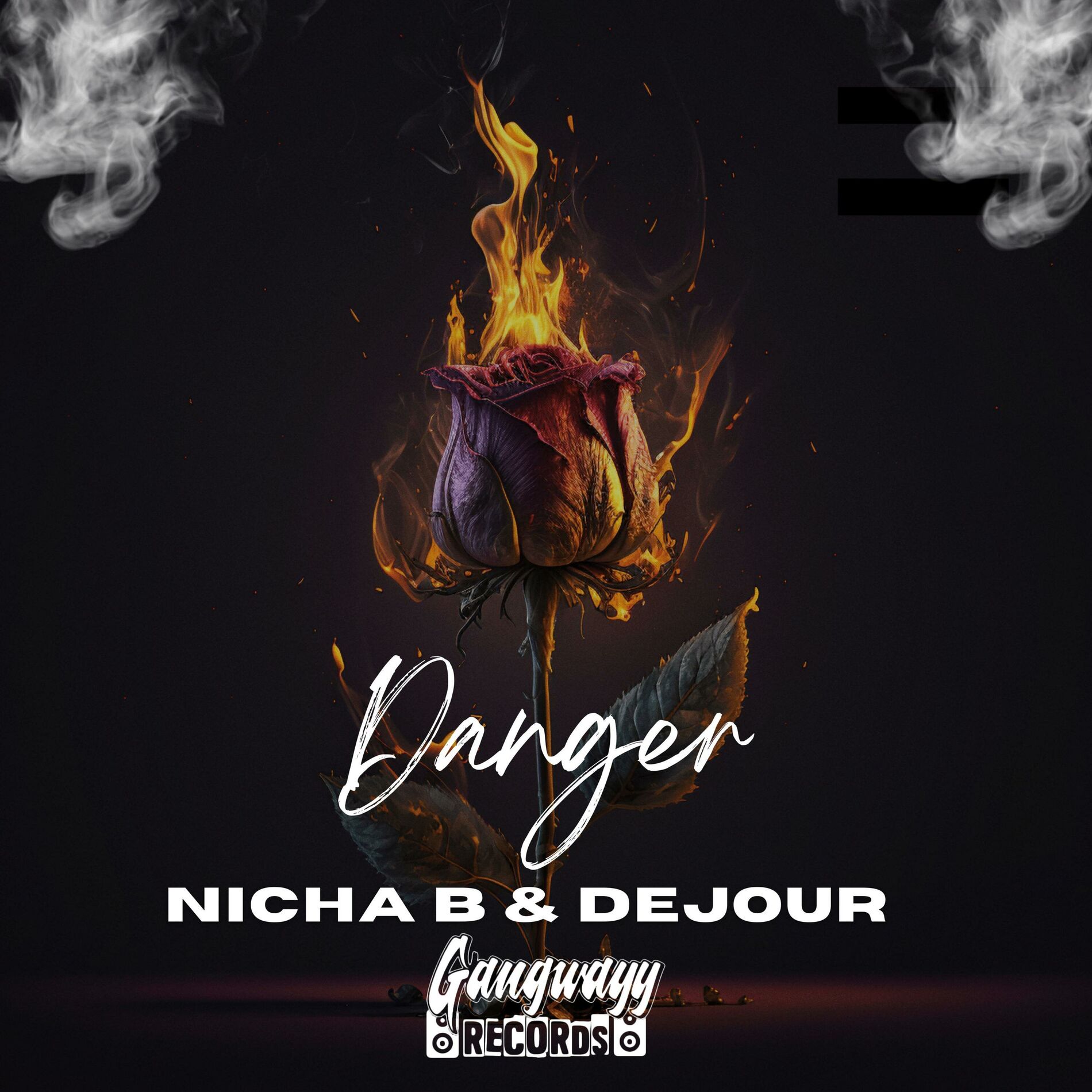 Album cover of Danger (feat. Nicha B & DEJOUR)