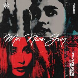 Cover of Mr. Nice Guy