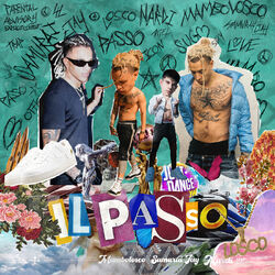 Cover of Il Passo