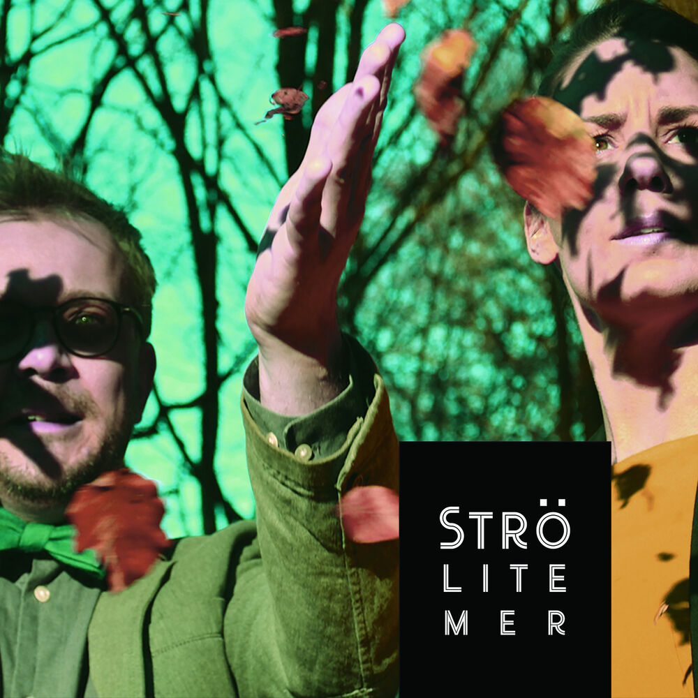 Picture of Strö lite mer