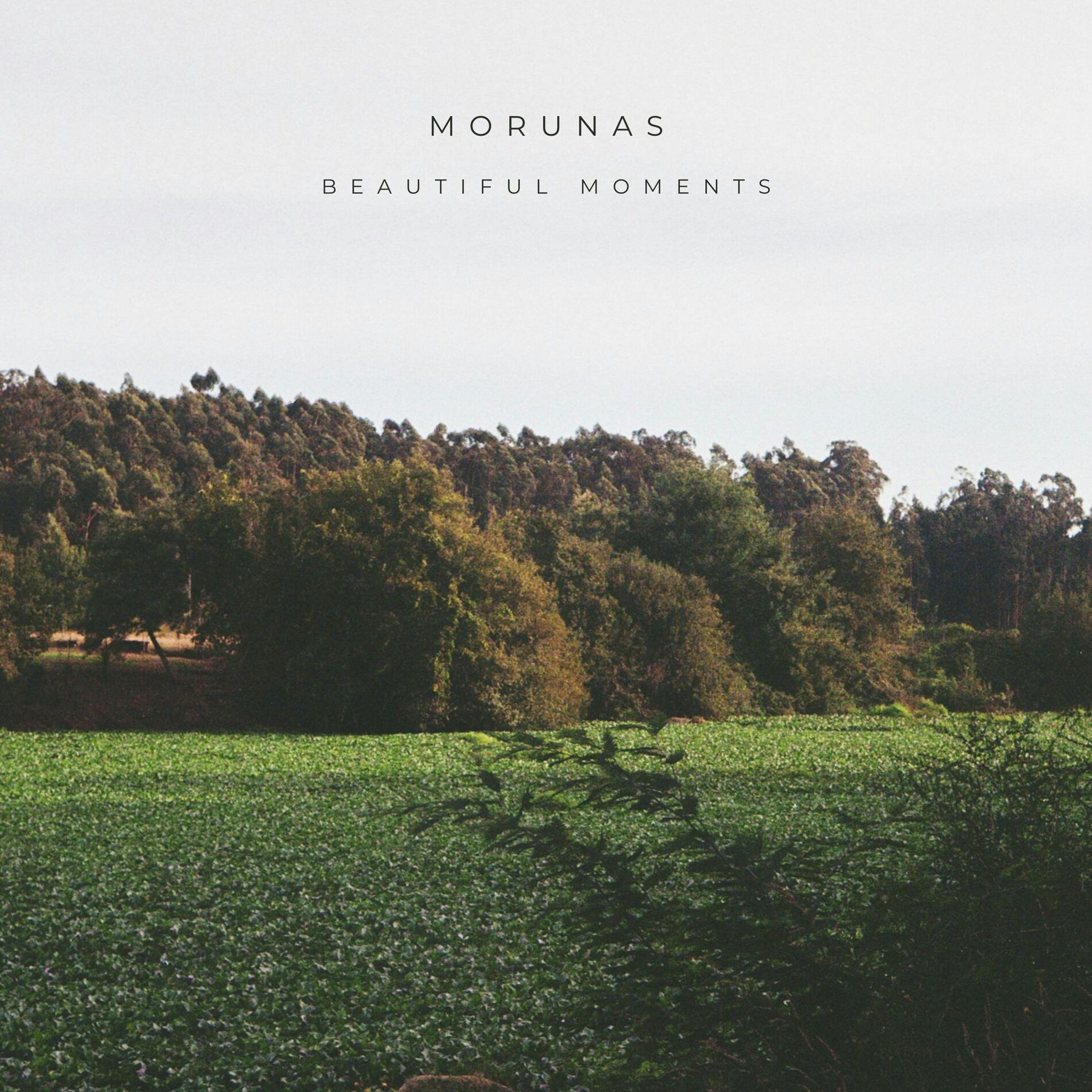 Album cover of Beautiful Moments