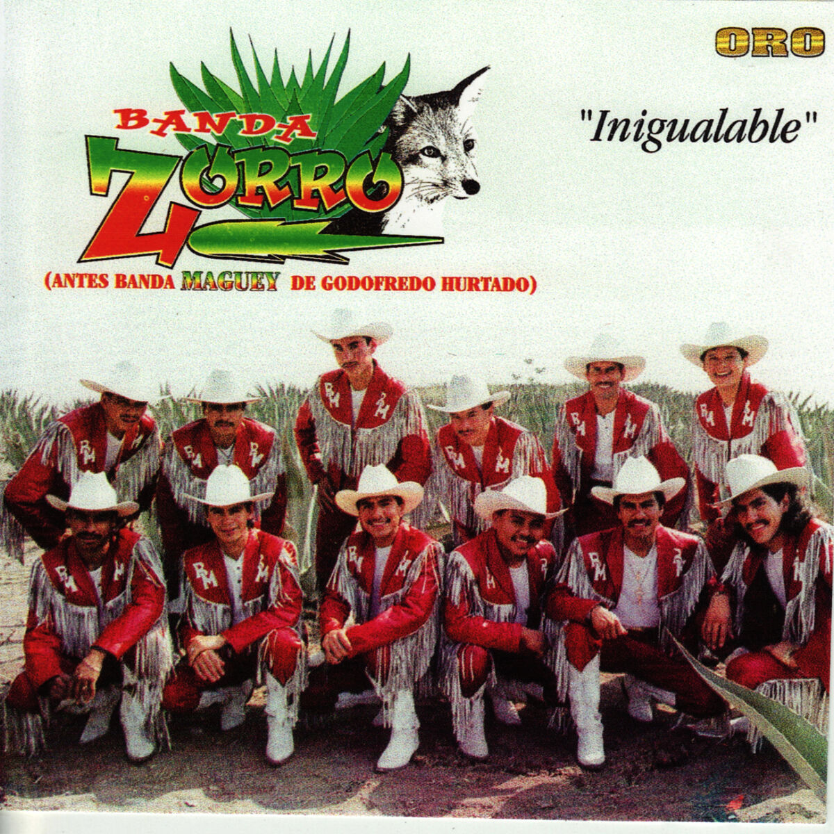 Album cover of Inigualable