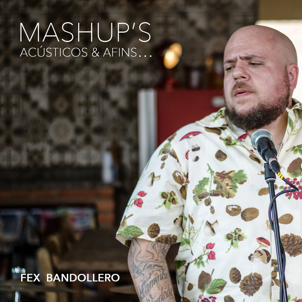 Picture of Mashup's, Acústicos e Afins...