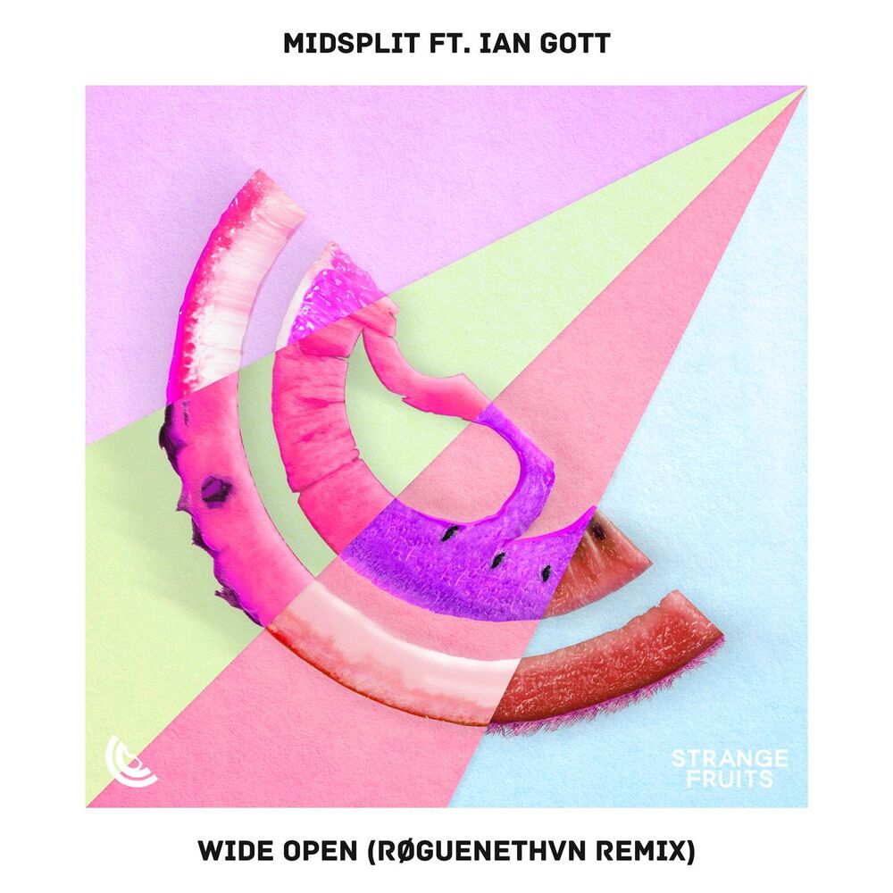 Picture of Wide Open (feat. Ian Gott) [RØGUENETHVN Remix]