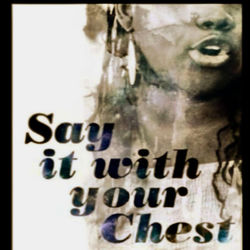 Cover of chest by undefined