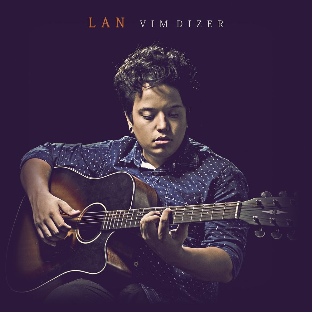 Picture of Vim Dizer