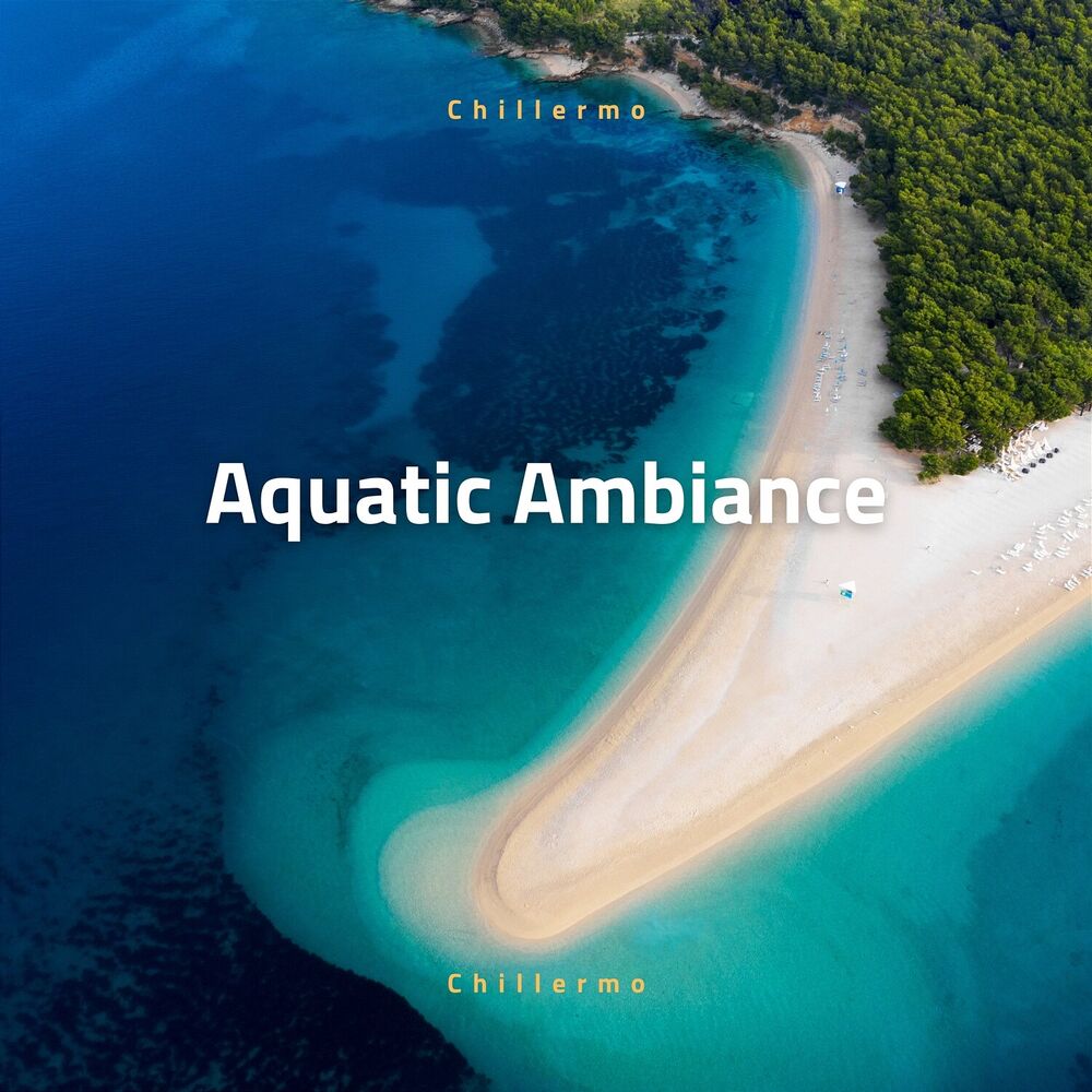 Picture of Aquatic Ambiance: Lofi Delights