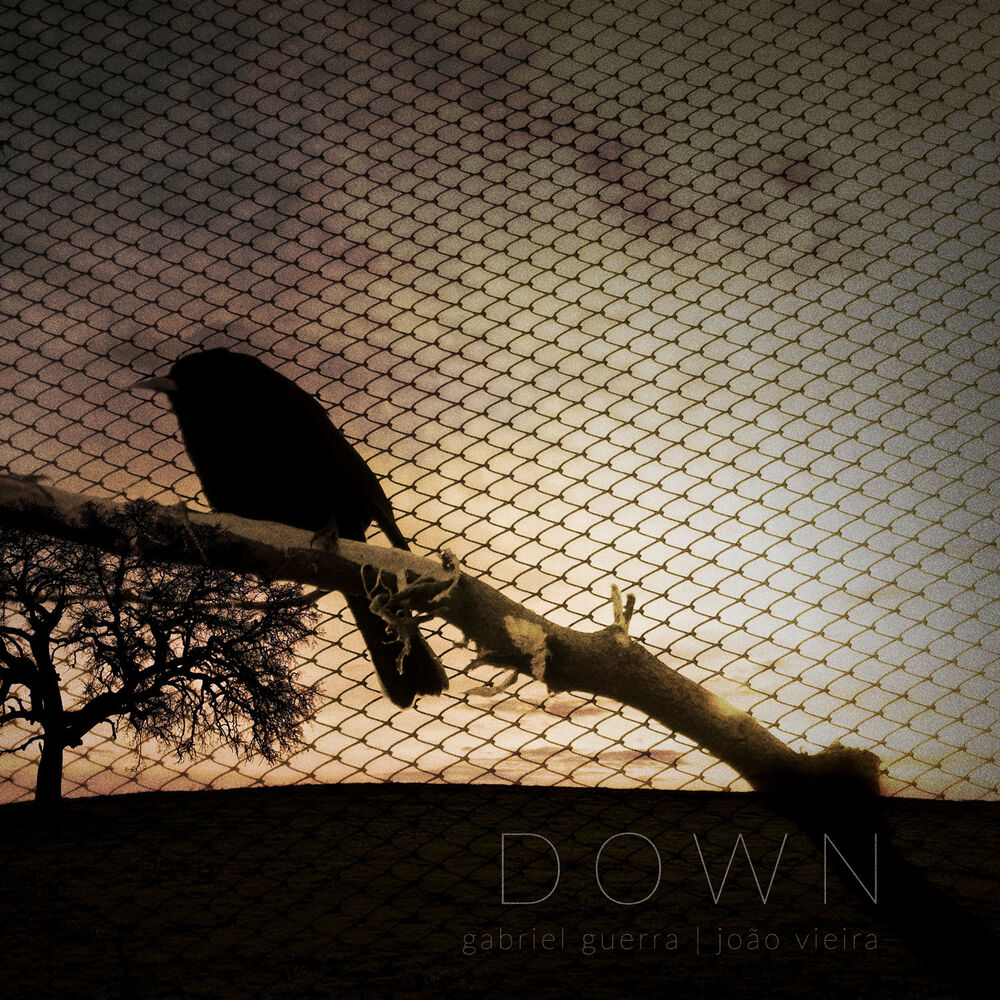 Picture of Down
