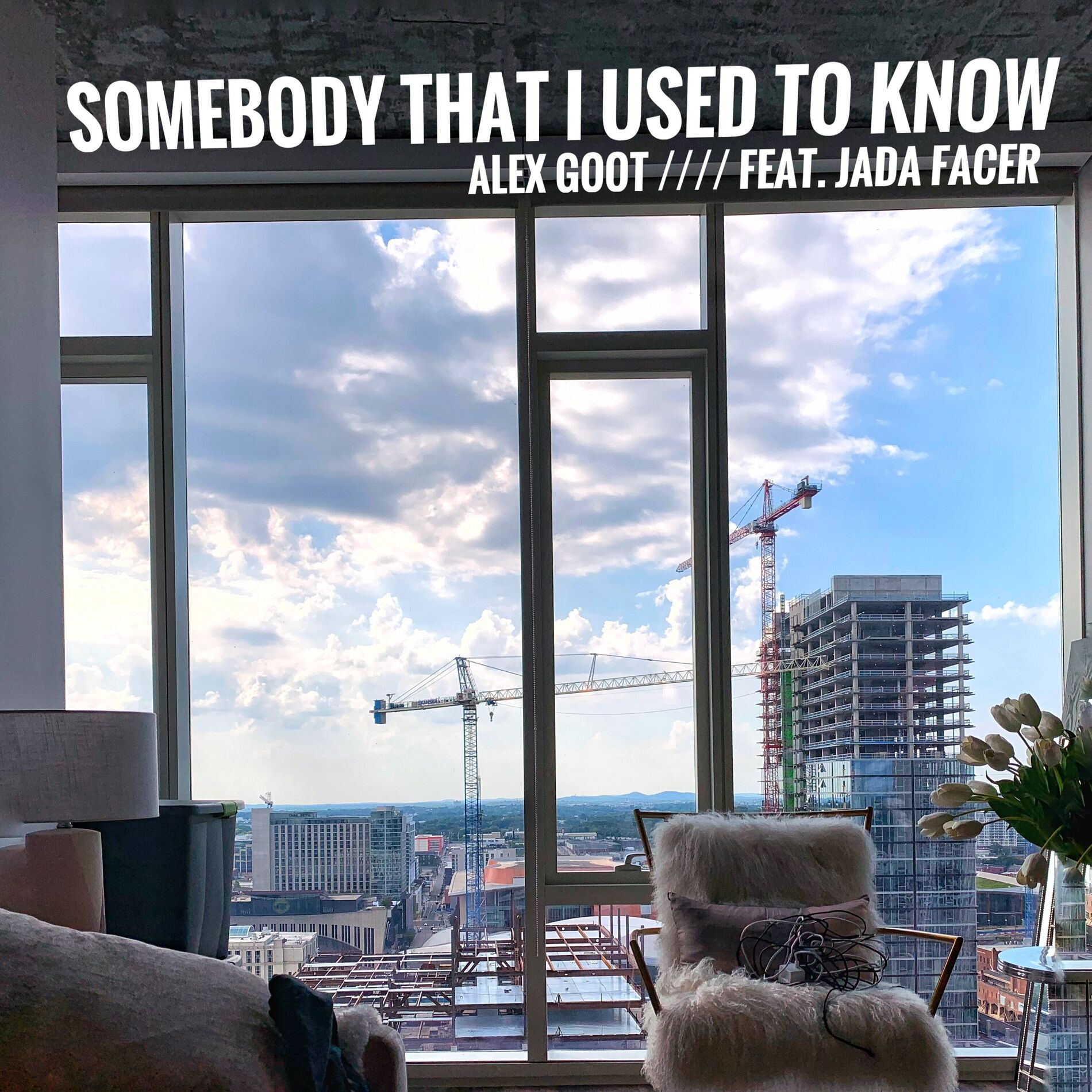 Album cover of Somebody That I Used To Know