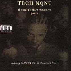 Cover of Calm Before the Storm