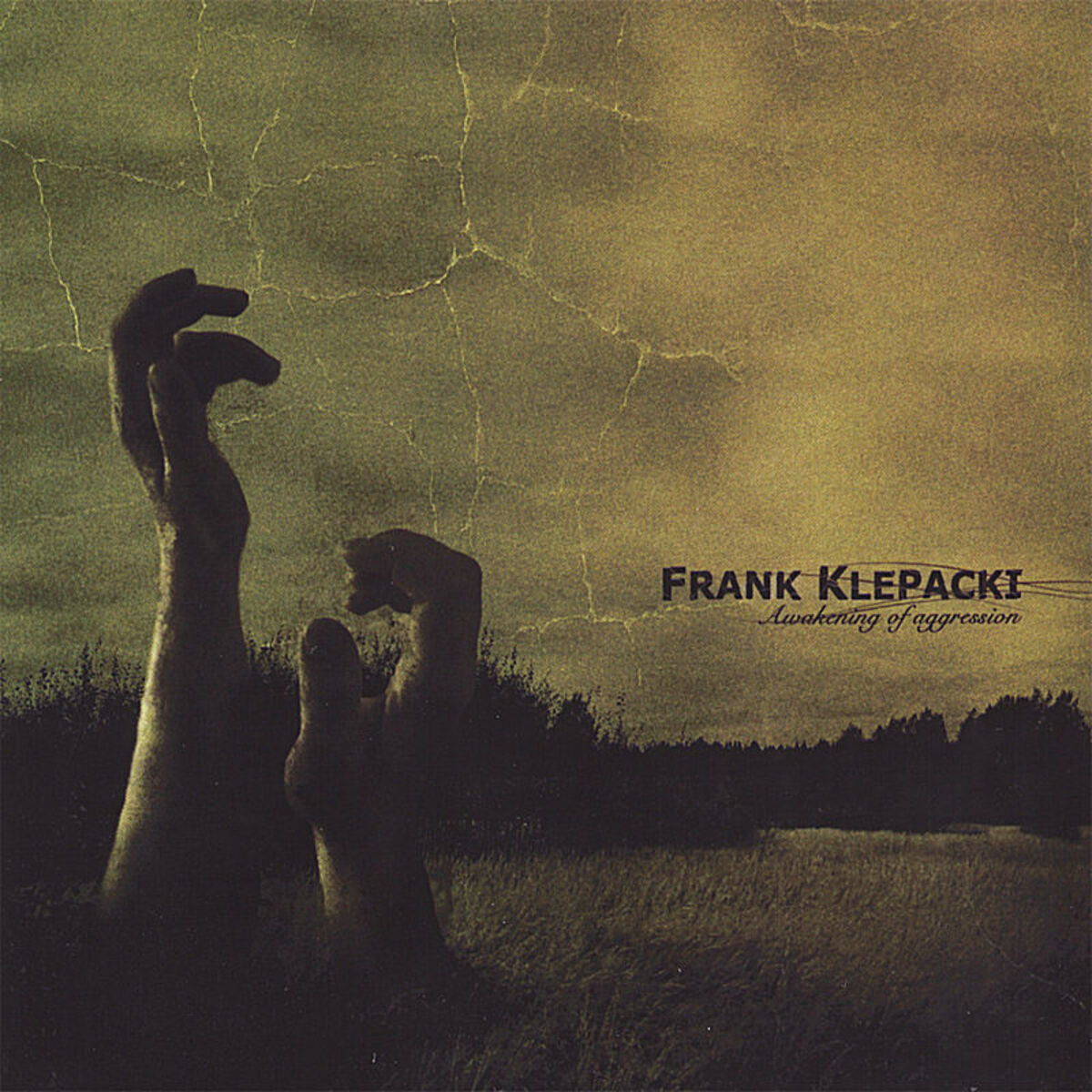 Album cover of Awakening of Aggression