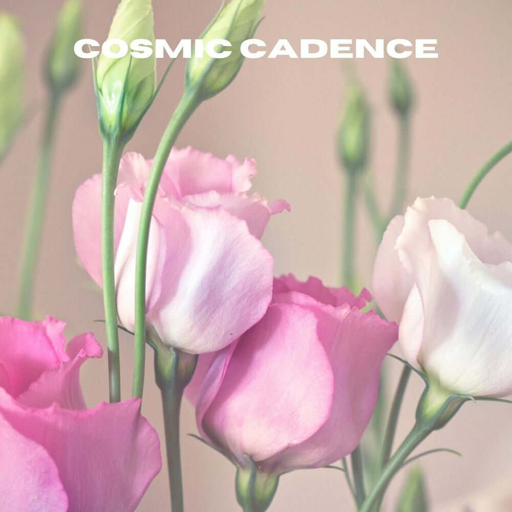 Picture of Cosmic Cadence