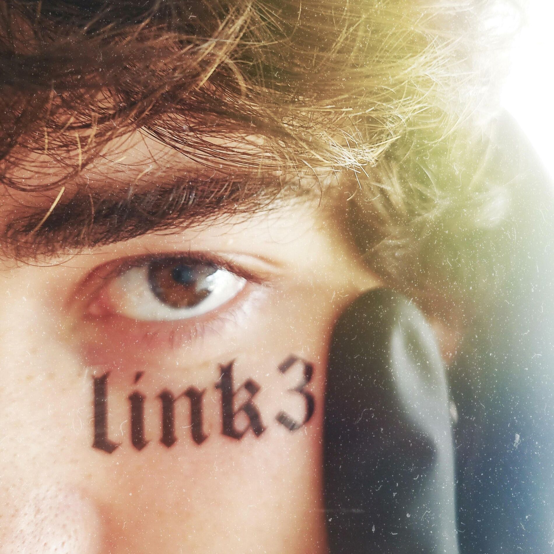 Album cover of link3 demo