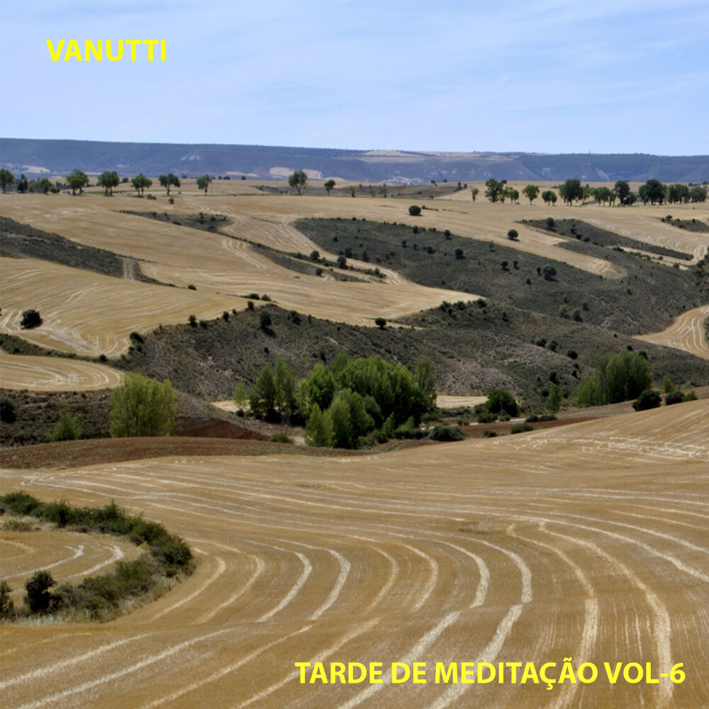 Picture of Tarde de Meditação, Vol. 6