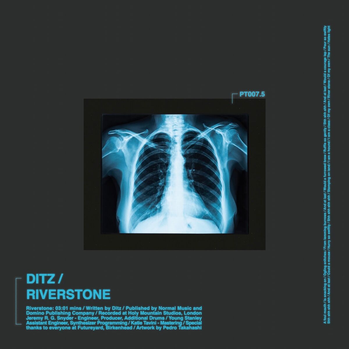 Album cover of Riverstone (BABii Destruction Remix)