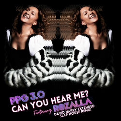 Can You Hear Me? (David Harry Extended Slap House Mix)