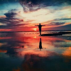 Free Will