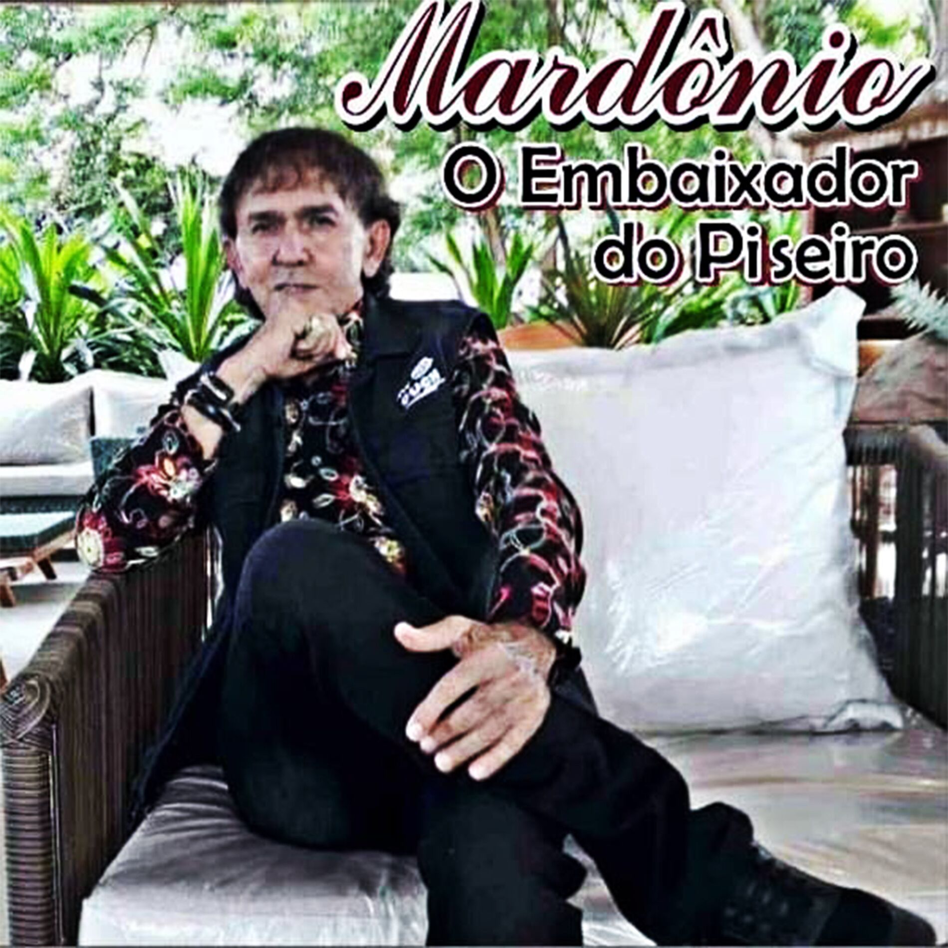 Album cover of O Embaixador do Piseiro