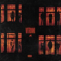 Cover of Vitrinni