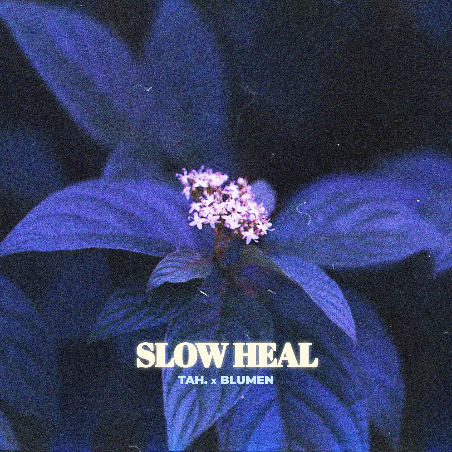 Album cover of Slow Heal