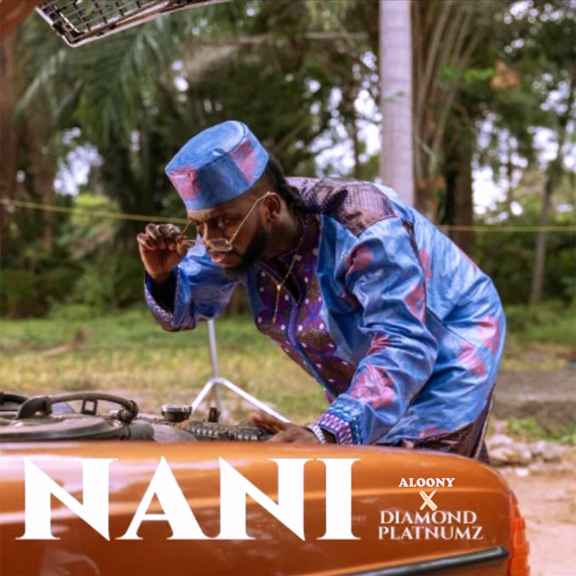 Album cover of Nani (feat. Diamond platnumz)