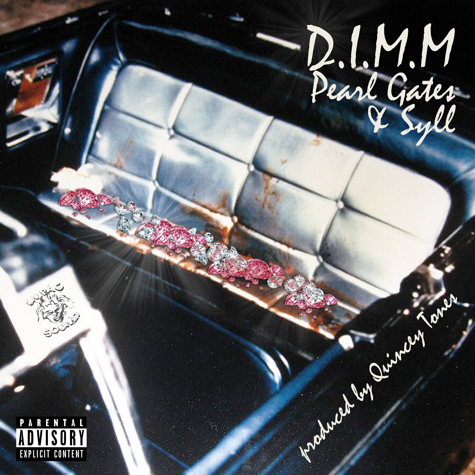 Album cover of D.I.M.M.