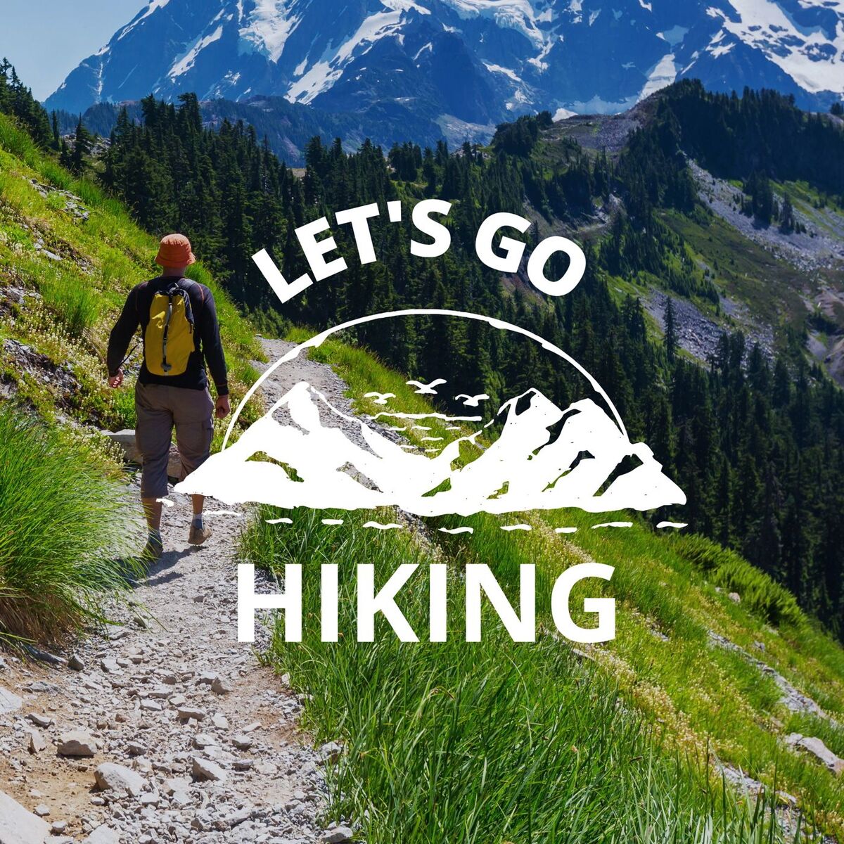 Album cover of Let's Go Hiking