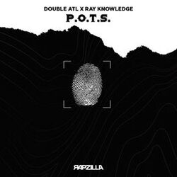 Cover of P.O.T.S.