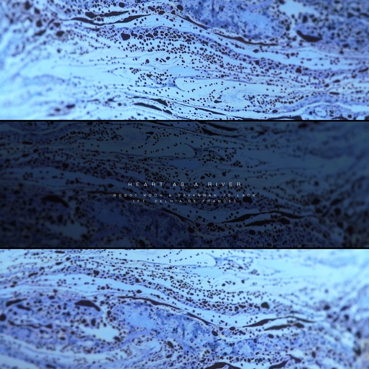 Album cover of Heart as a River