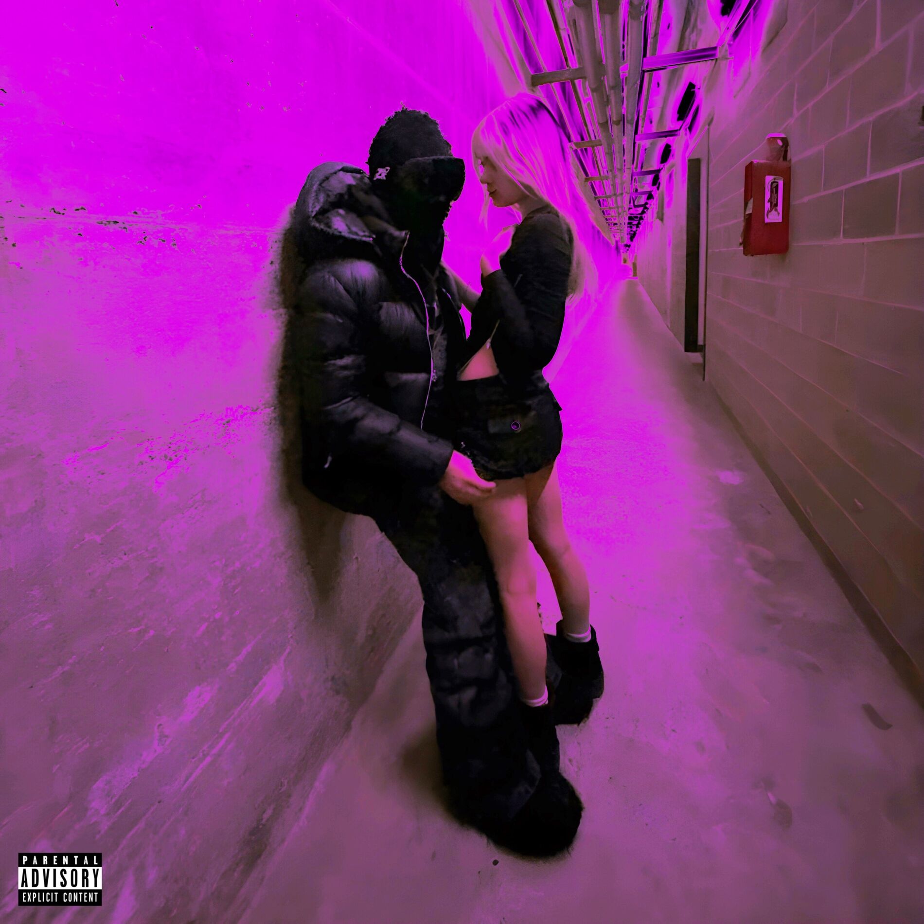 Album cover of Mixtape Fevereiro