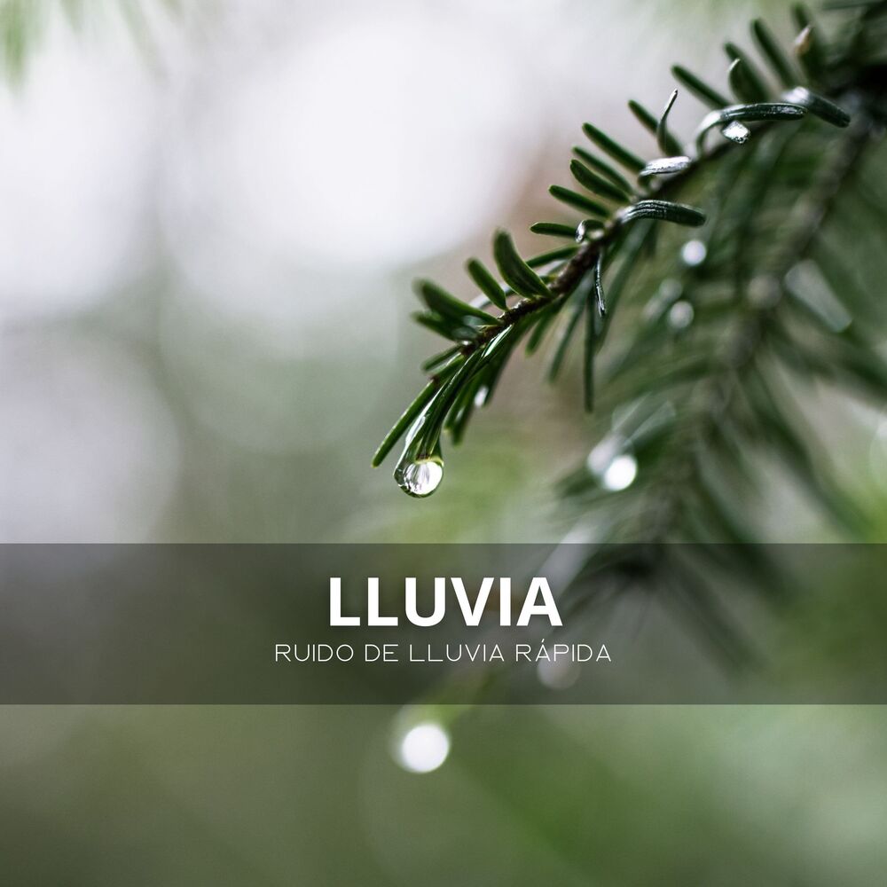Picture of Lluvia: Ruido De Lluvia Rápida