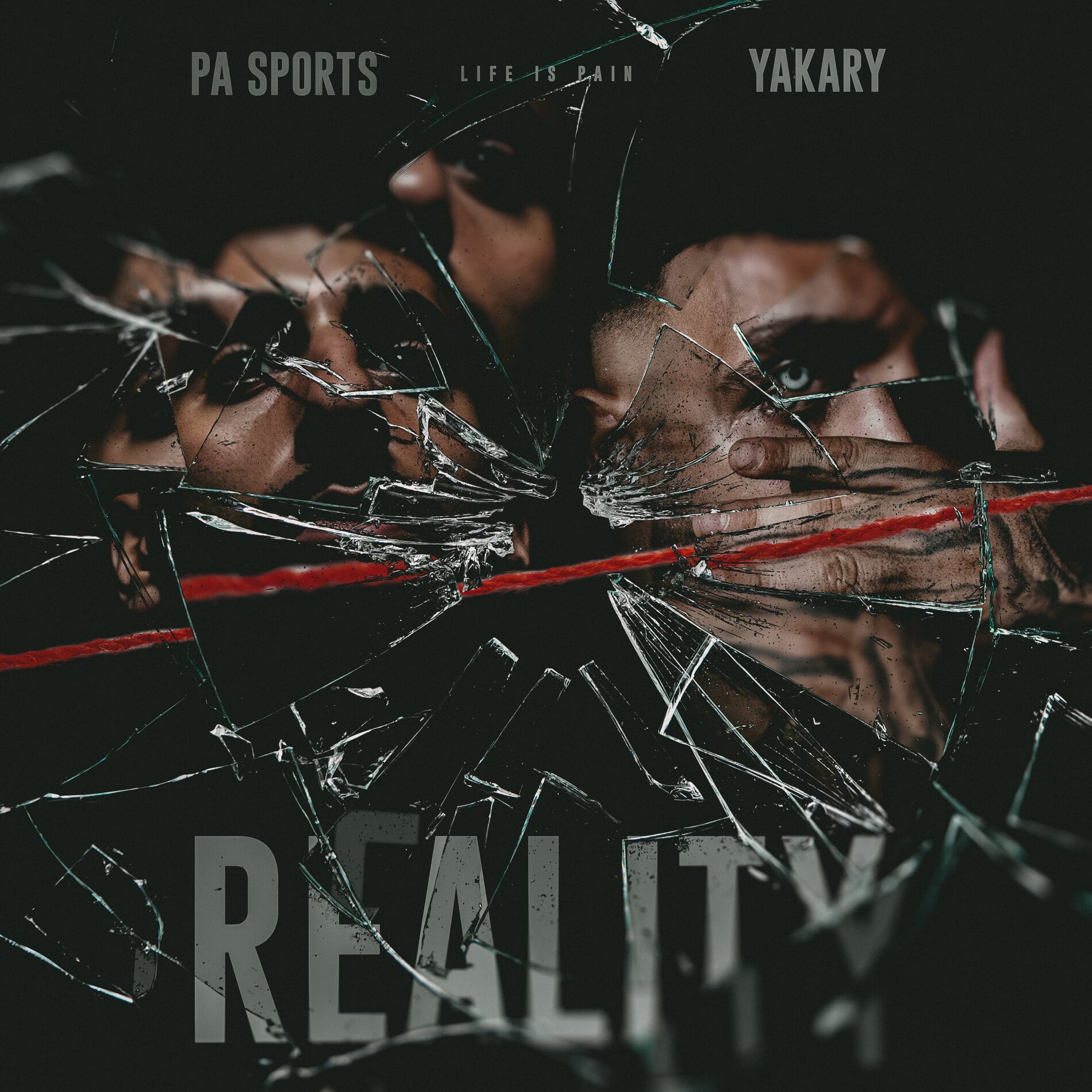 Album cover of Reality