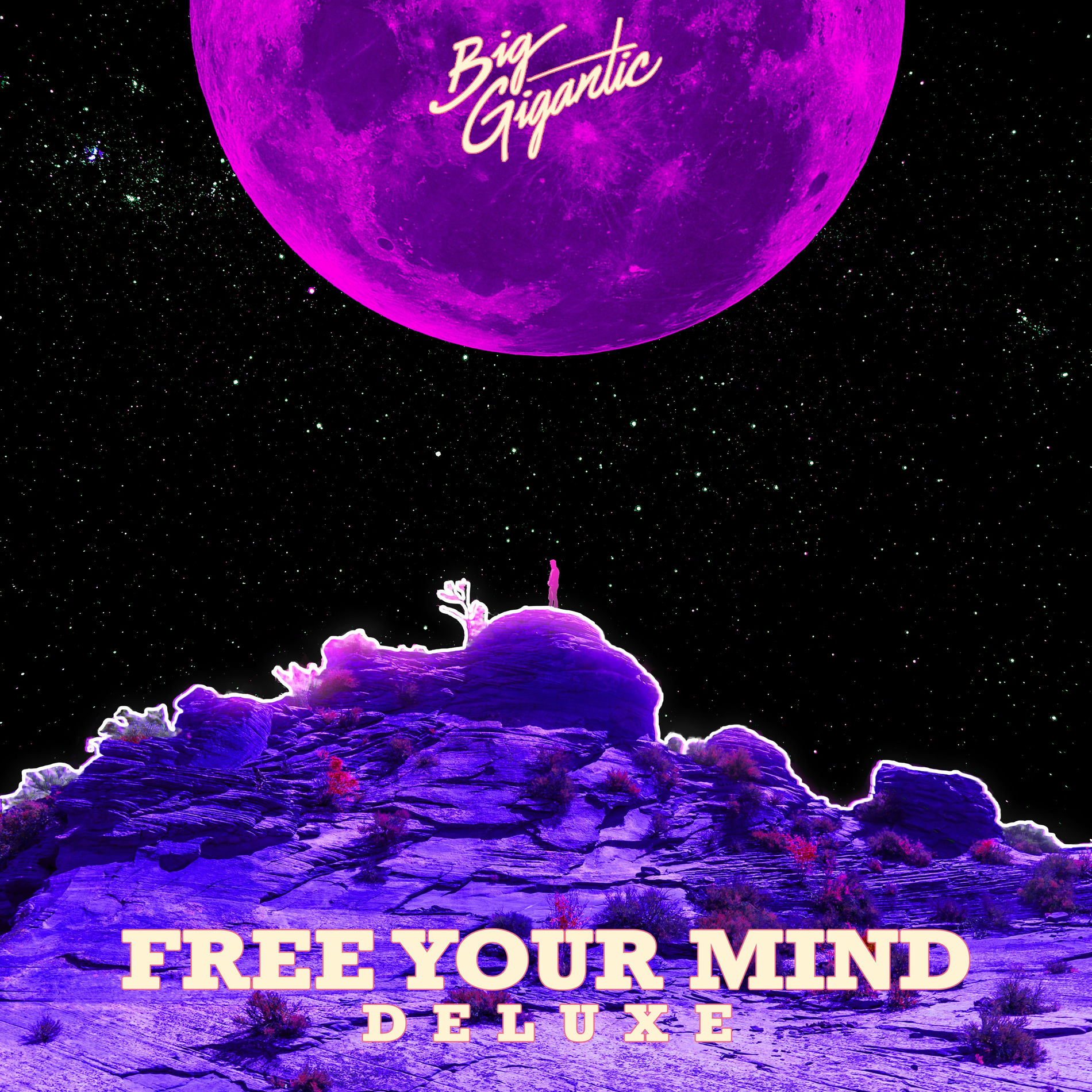 Album cover of Free Your Mind (Deluxe Version)