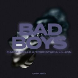 Cover of Bad Boys