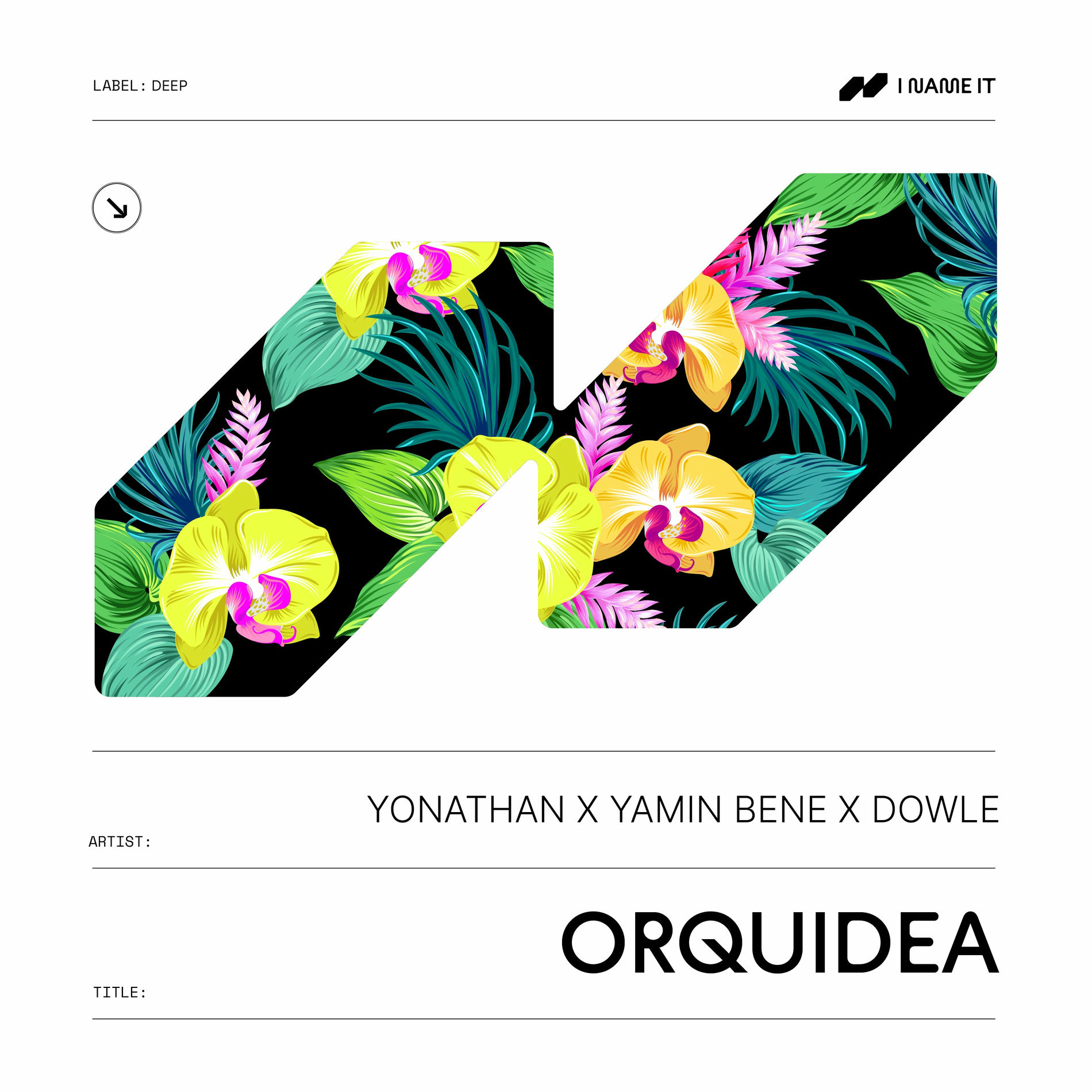 Album cover of Orquidea