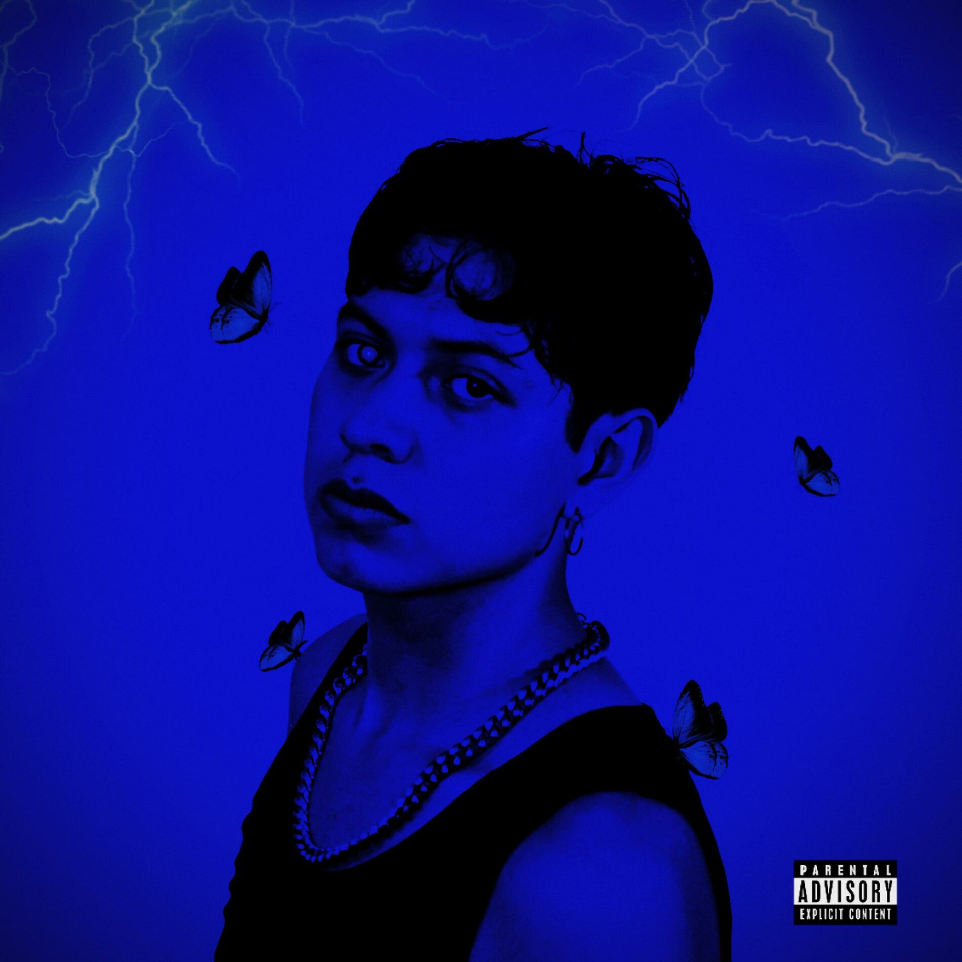 Album cover of EFECTO MARIPOSA