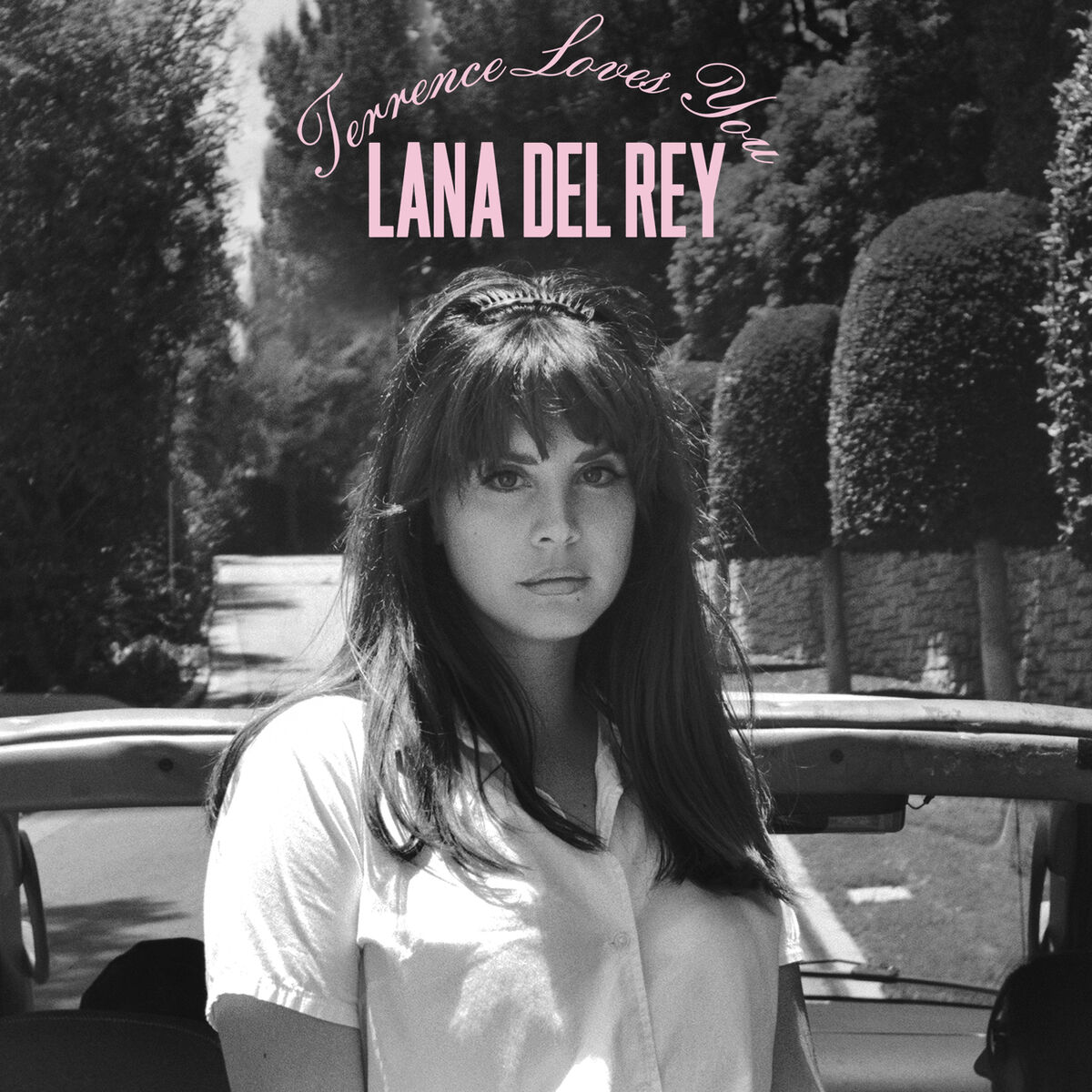 Album cover of Terrence Loves You