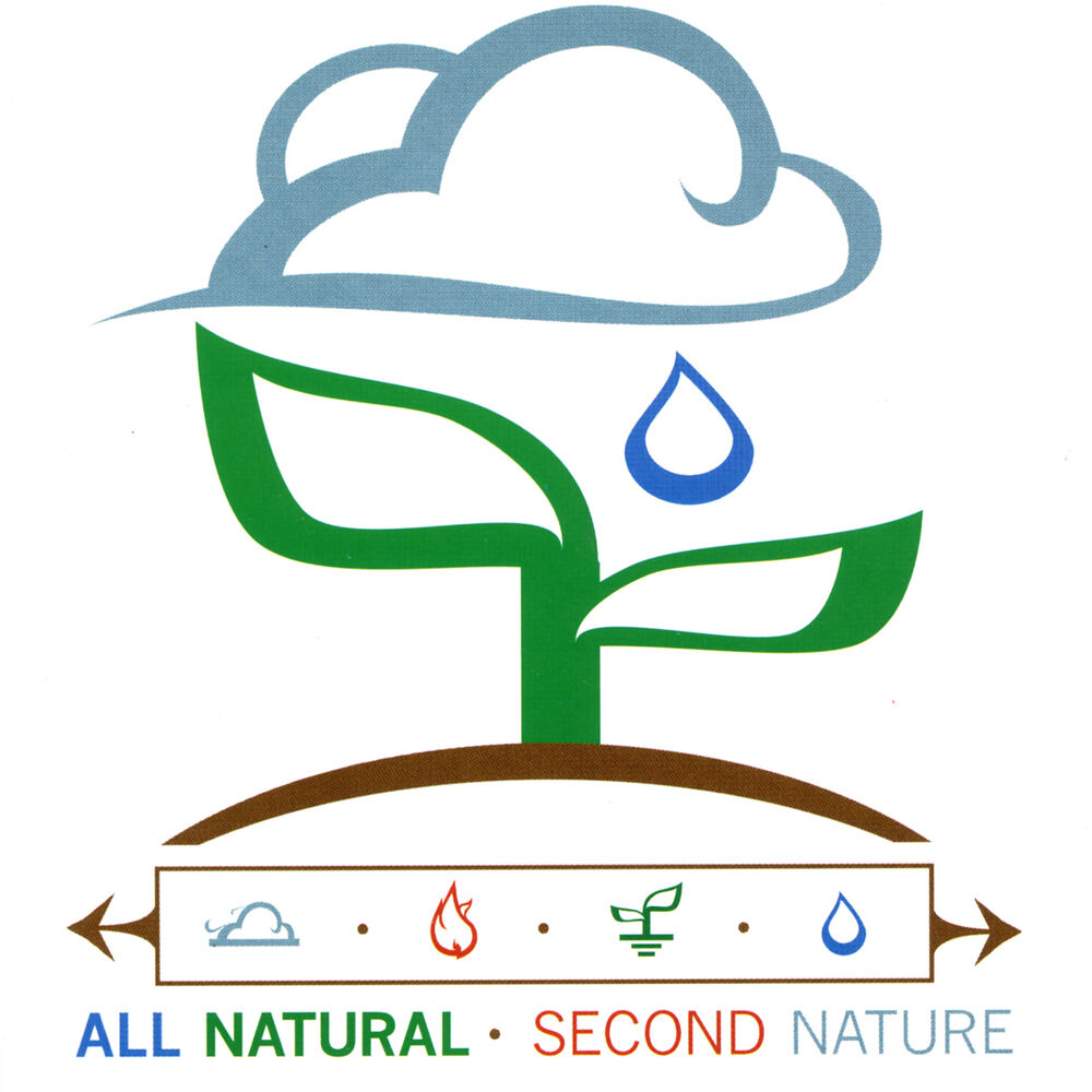 Picture of Second Nature