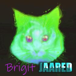 Cover of Brigit