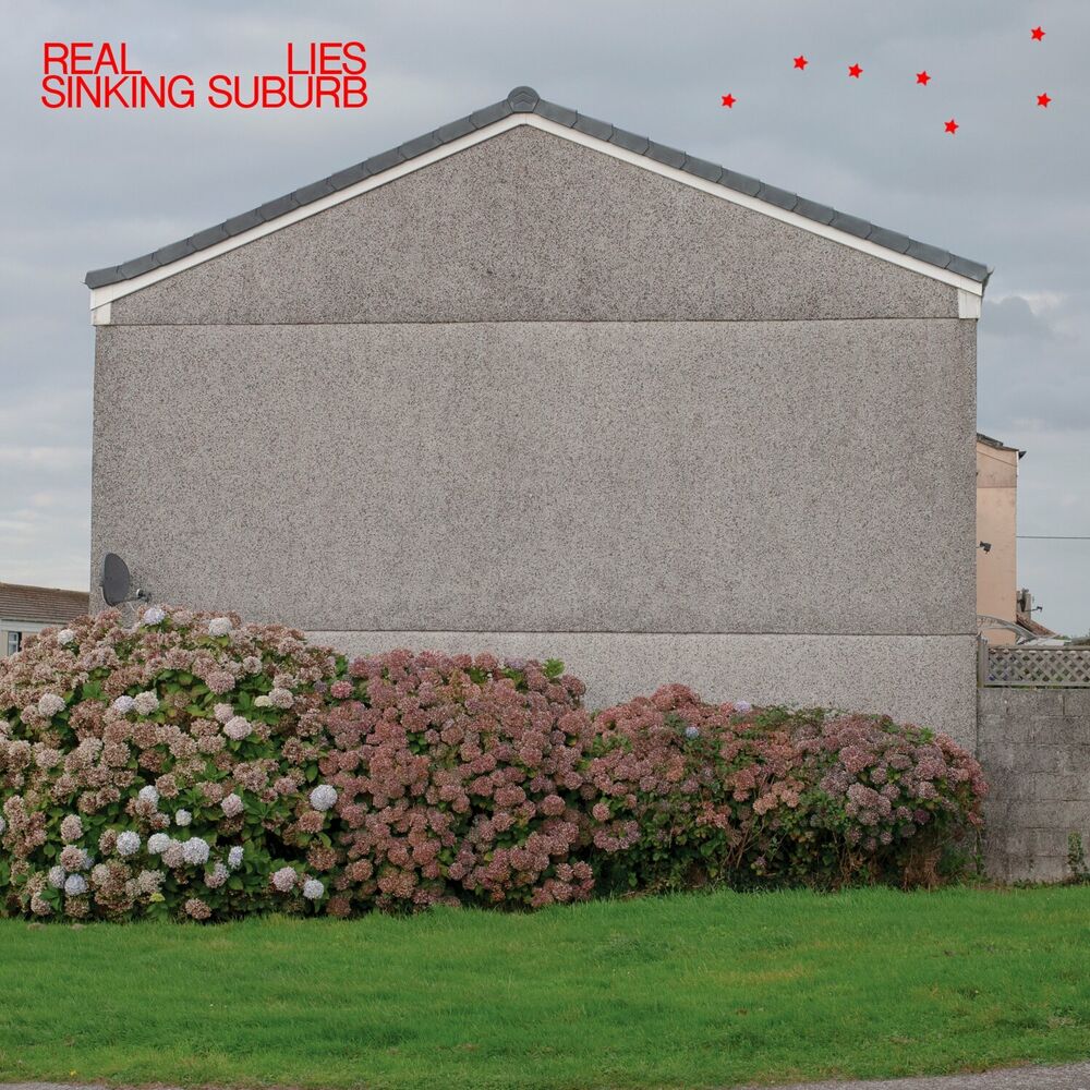 Picture of Sinking Suburb