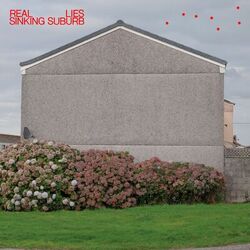 Cover of Sinking Suburb