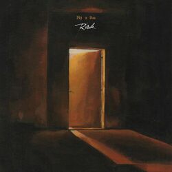 Cover of Risk