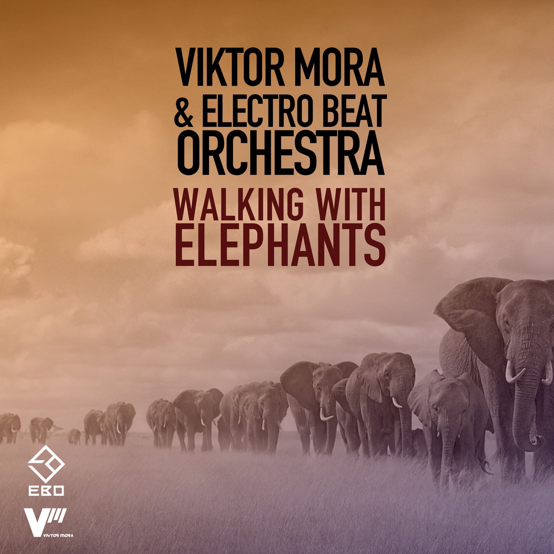 Album cover of Walking With Elephants