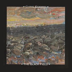 Cover of The Black Field