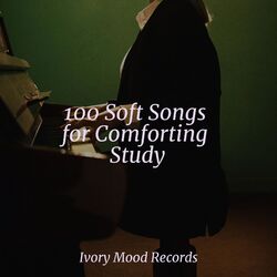 Cover of 100 Soft Songs for Comforting Study