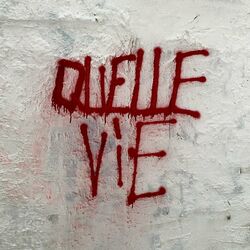 Cover of Quelle vie