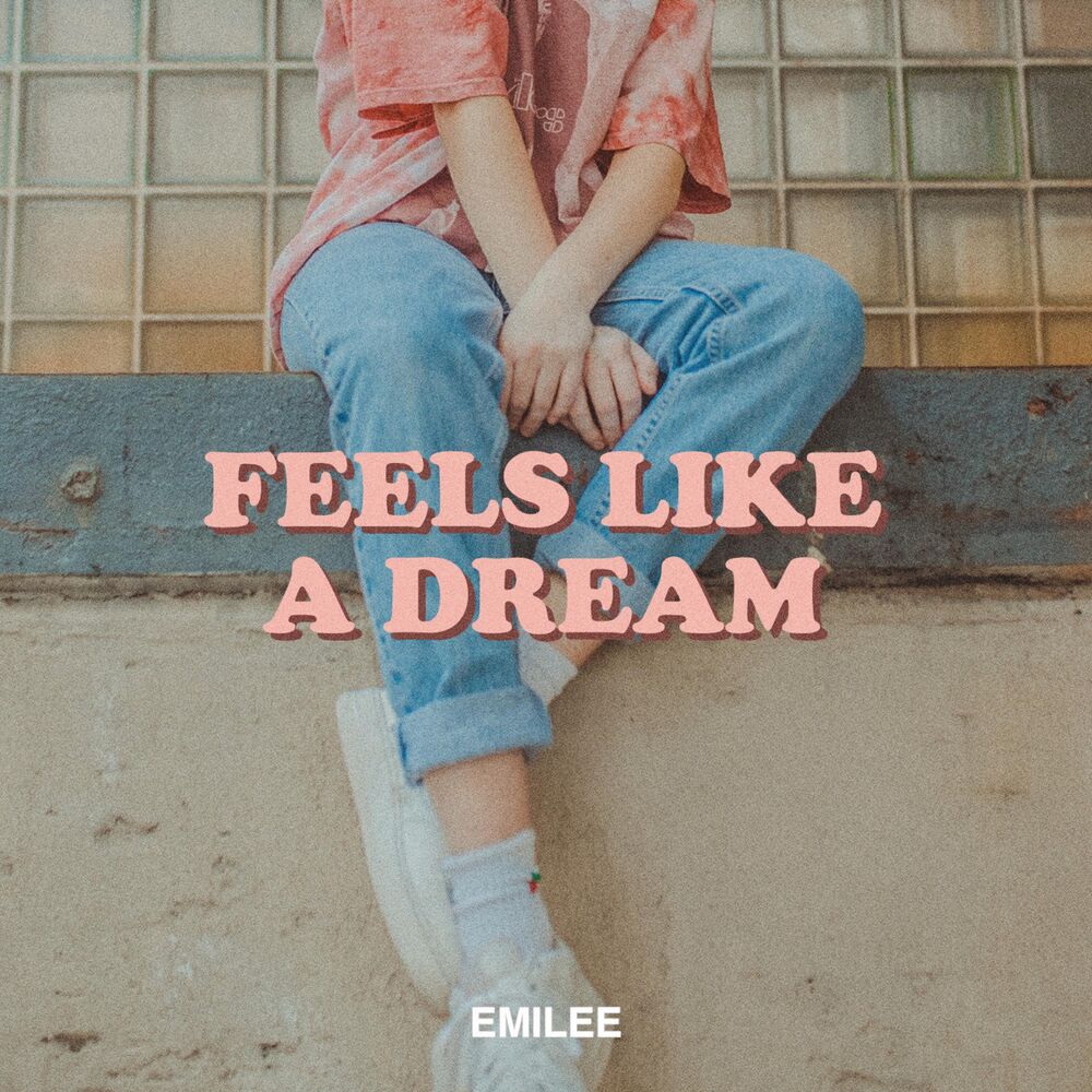Picture of Feels Like a Dream