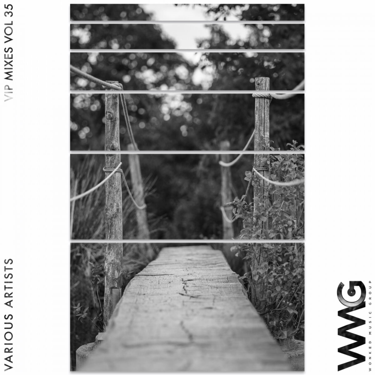 Album cover of VIP Mixes, Vol. 35